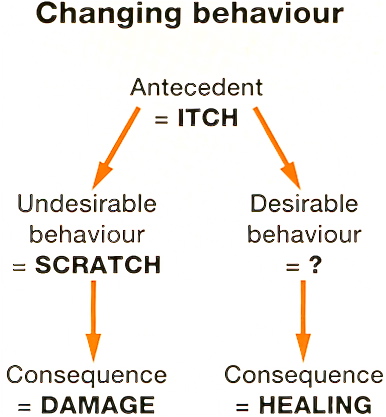 ChangingBehaviour